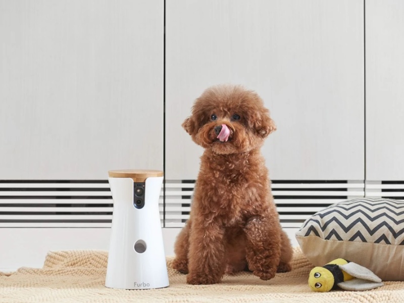Tech Tails: Innovative Gadgets for Dog Owners